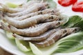 Fresh raw shrimp Royalty Free Stock Photo