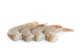 Fresh raw shrimp isolated. Healthy seafood Royalty Free Stock Photo