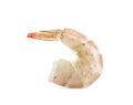 Fresh raw shrimp isolated. Healthy seafood Royalty Free Stock Photo