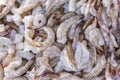 Fresh raw shrimp for seafood ingredient cooking