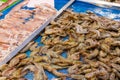Fresh raw shrimp sell in wet market Royalty Free Stock Photo