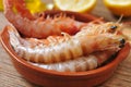 Fresh raw shrimps