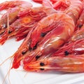 Fresh raw shrimps Royalty Free Stock Photo