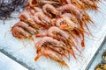 Fresh raw shrimps on ice at seafood market. Defrosted prawns at store Royalty Free Stock Photo