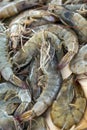 Fresh raw shrimps from the Mediterranean sea for sale at a Greek fish market on the stall of a fisherman, selected focus, vertical