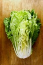 Fresh, raw, sliced cabbage