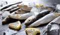 Fresh raw small sea fish, lemon and ice on black background.