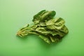 Fresh raw spinach leaves Royalty Free Stock Photo