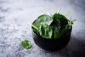 Fresh raw spinach leaves Royalty Free Stock Photo