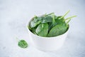 Fresh raw spinach leaves Royalty Free Stock Photo