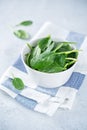 Fresh raw spinach leaves Royalty Free Stock Photo