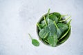 Fresh raw spinach leaves Royalty Free Stock Photo