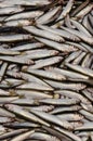 Fresh raw sprats background. Fish or seafood background Royalty Free Stock Photo