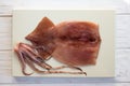 Fresh raw squid against a white background. Close-up Royalty Free Stock Photo