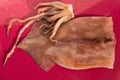 Fresh raw squid on a bright red background under the sun. Close-up Royalty Free Stock Photo