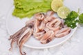 Fresh raw squid with lettuce vegetable salad seafood coriander lemon lime on white plate background, squid rings on ice Royalty Free Stock Photo