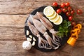 Fresh raw squid with tentacles closeup and vegetable ingredients Royalty Free Stock Photo