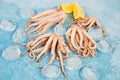 Fresh raw squid tentacles with ice on a blue concrete background Royalty Free Stock Photo