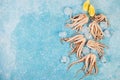 Fresh raw squid tentacles with ice on a blue concrete background, top view, copy space Royalty Free Stock Photo