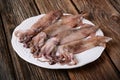 Fresh raw squid Royalty Free Stock Photo