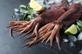 Fresh raw squids with ice, citrus fruits and arugula on black table, closeup Royalty Free Stock Photo