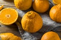 Fresh Raw Sumo Oranges