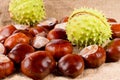 Fresh raw sweet chestnuts Royalty Free Stock Photo