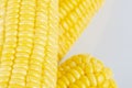 Fresh raw sweet corn on the cob kernels over white background Royalty Free Stock Photo