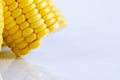 Fresh raw sweet corn on the cob kernels over white background Royalty Free Stock Photo