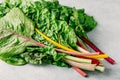 Fresh raw swiss rainbow chard leaves on gray background.