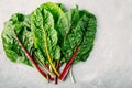 Fresh raw swiss rainbow chard leaves on gray stone background. Royalty Free Stock Photo