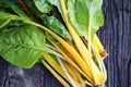 Fresh raw swiss rainbow chard leaves on wooden background. Top view