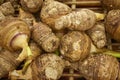 Fresh raw taro root background Royalty Free Stock Photo