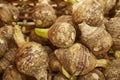 Fresh raw taro root background Royalty Free Stock Photo