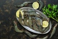 Fresh raw tiger shrimps on a metal plate with ice, lemon and parsley on a dark background. Top view, copy space