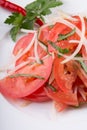 Fresh raw tomato salad with onion Royalty Free Stock Photo