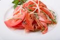 Fresh raw tomato salad with onion Royalty Free Stock Photo