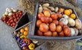 Fresh Raw Tomatoes, Orange, Potatoes, eggplant, onion, and sweet