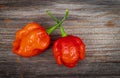 Trinidad Moruga scorpion pods on a wood rustic table