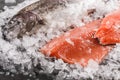 Fresh raw trout fish steak and whole fish with spices on ice over dark stone background. Creative layout made of fish Royalty Free Stock Photo