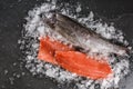 Fresh raw trout fish steak and whole fish with spices on ice over dark stone background. Creative layout made of fish, top view Royalty Free Stock Photo