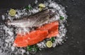 Fresh raw trout fish steak and whole fish with spices on ice over dark stone background. Seafood, top view, flat lay Royalty Free Stock Photo