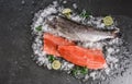 Fresh raw trout fish steak and whole fish with spices on ice over dark stone background. Seafood, top view, flat lay Royalty Free Stock Photo