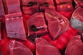 Fresh Raw Tuna (Thunnus albacares)