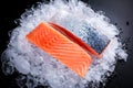 Fresh Raw two salmon fillet on ice Royalty Free Stock Photo