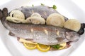 Fresh, raw two trout lying on a plate, stuffed with butter, onion, parsley and lemon slices, isolated on a white background with a Royalty Free Stock Photo