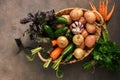 Fresh raw vegetables of the new crop, potatoes, onions, carrots, garlic, cucumbers, basil and parsley in a basket on a dark rustic Royalty Free Stock Photo