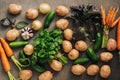 Fresh raw vegetables of the new crop, potatoes, onions, carrots, garlic, cucumbers, basil and parsley on a dark rustic background Royalty Free Stock Photo