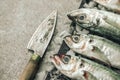 Fresh raw white seabass fish on top of chopping board with ice Royalty Free Stock Photo