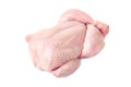 Fresh raw whole chicken on white background